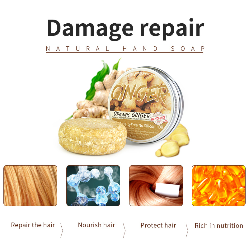 Shampoo soap Ginger solid sham - Castor Oil Soap 리뷰 및 가격