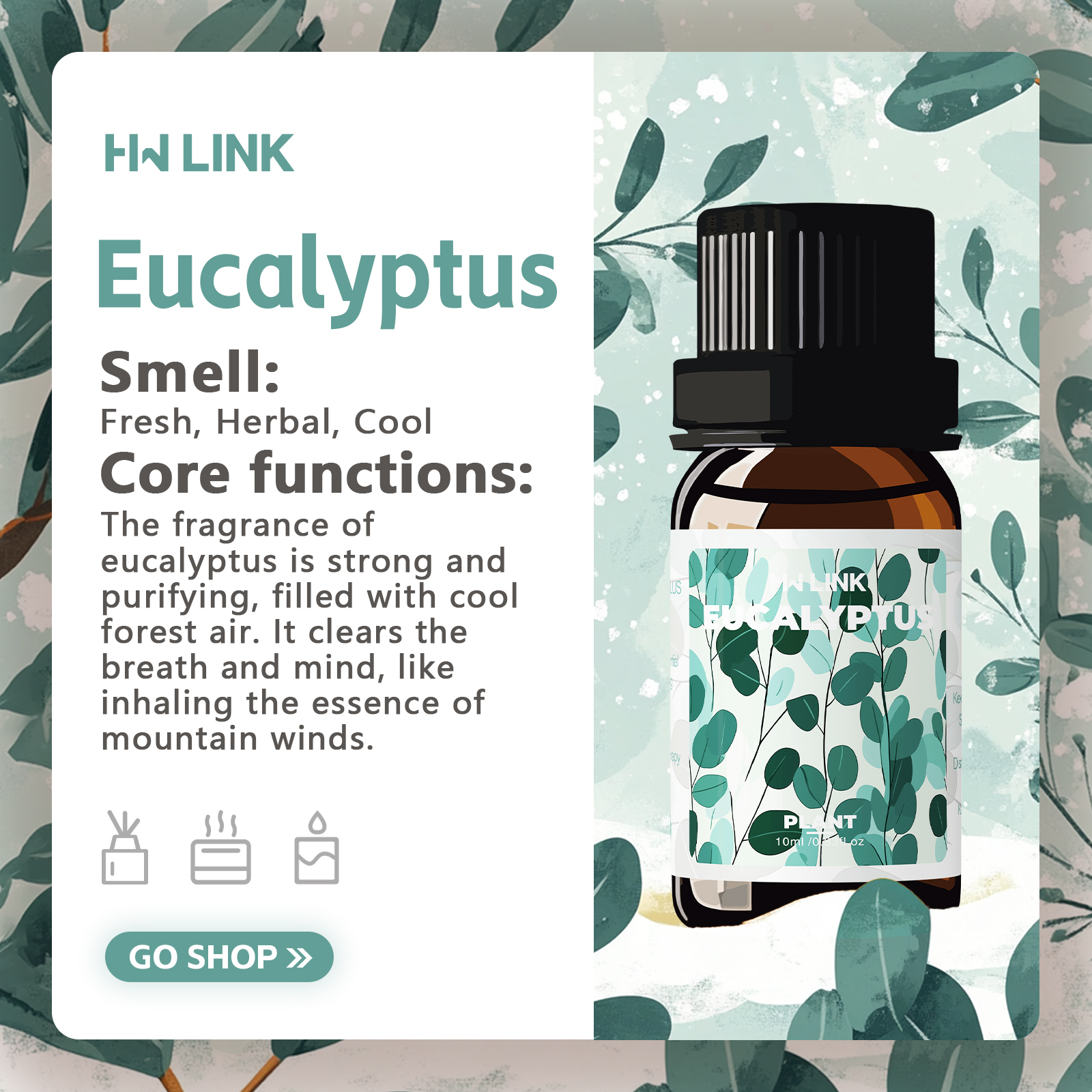 Eucalyptus Essential Oils 10ml - Soap Making Essential Oils 리뷰 및 가격